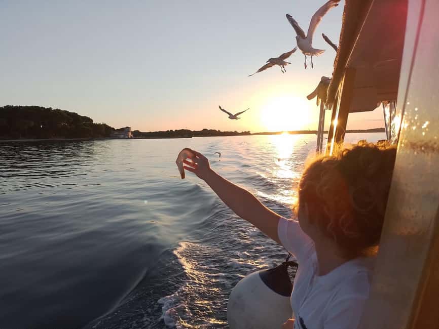 Pula: Brijuni National Park Dolphin Watching Tour w/Dinner - The boat experience: terraces, sundeck, bar, and restrooms