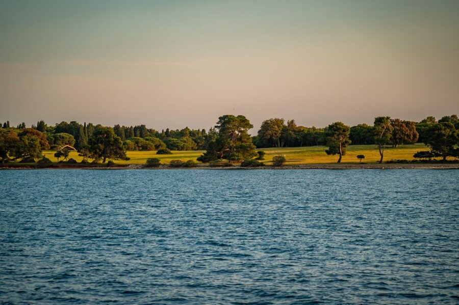 Pula: Brijuni National Park Sunset, Dolphins & Dinner Cruise - From Pula Port to Brijuni at sunset: what the 3 hours are really like