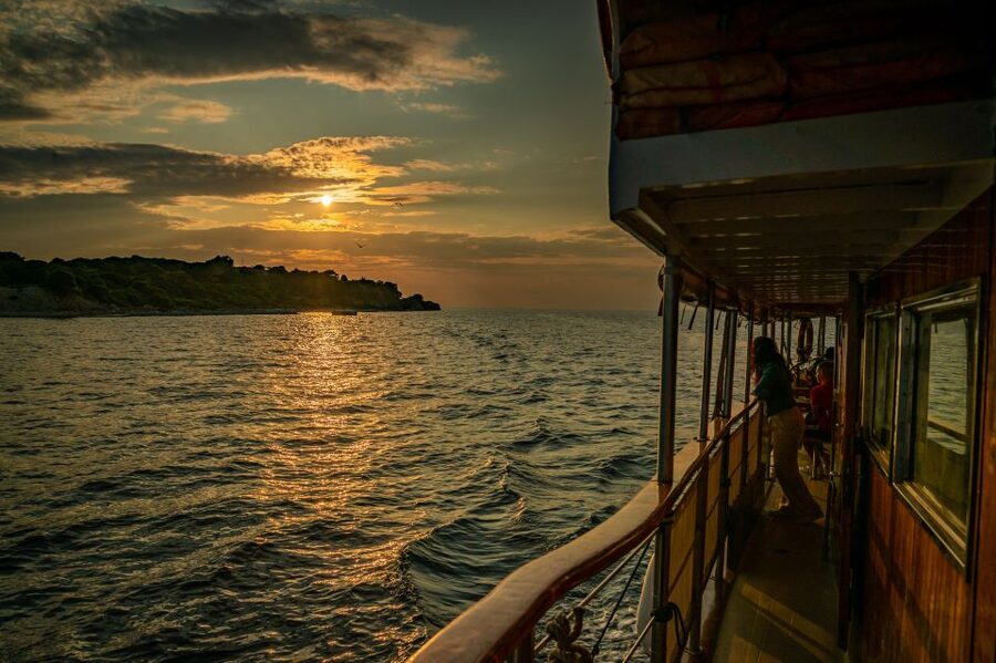 Pula: Brijuni National Park Sunset, Dolphins & Dinner Cruise - Dolphin watching in the wild: no guarantees, but the crew actively looks