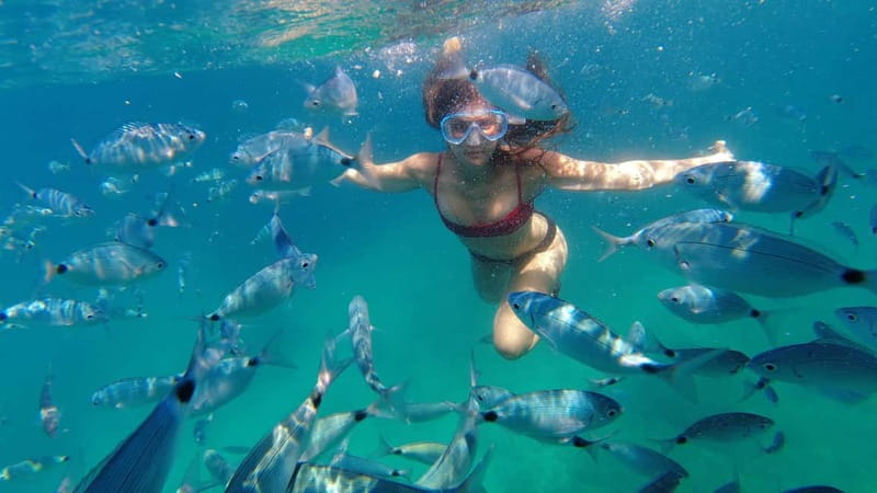 Pula: Cave Kayak, Snorkeling, Cliff Jumping All-in-one Tour - Cliff jumping up to 15m: adrenaline with an off switch