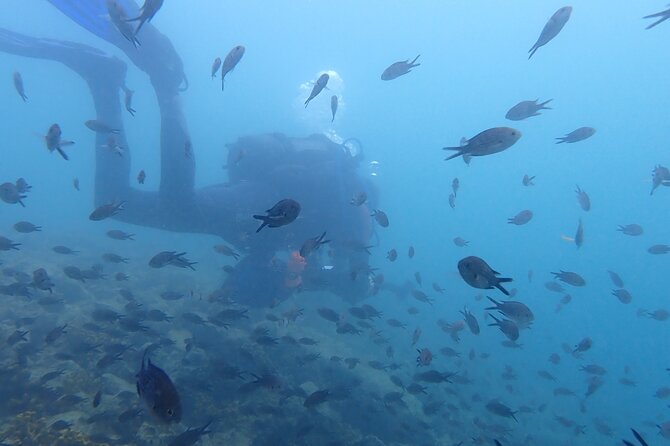 Pula Discover Scuba Diving Package - A first-try scuba plan in Pula that stays practical