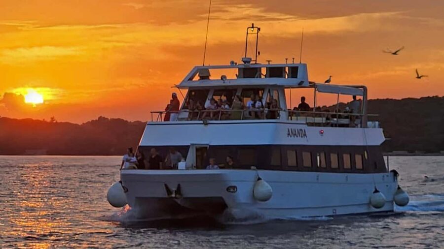 Pula: Dolphin Sunset Cruise to Brijuni with Dinner & Drinks - Key highlights you should care about