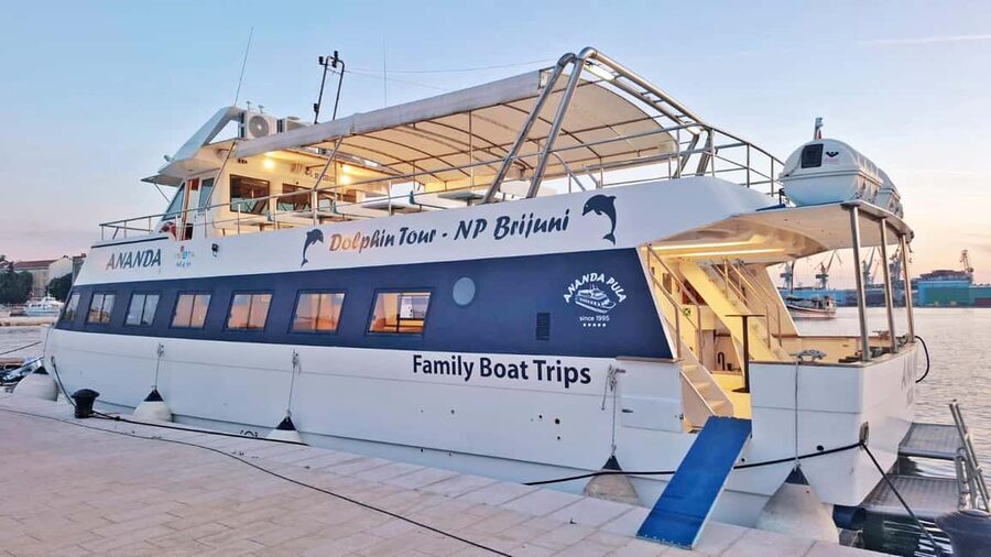 Pula: Dolphin Sunset Cruise to Brijuni with Dinner & Drinks - Dolphin safari near Brijuni: what you can expect, and how to increase your odds