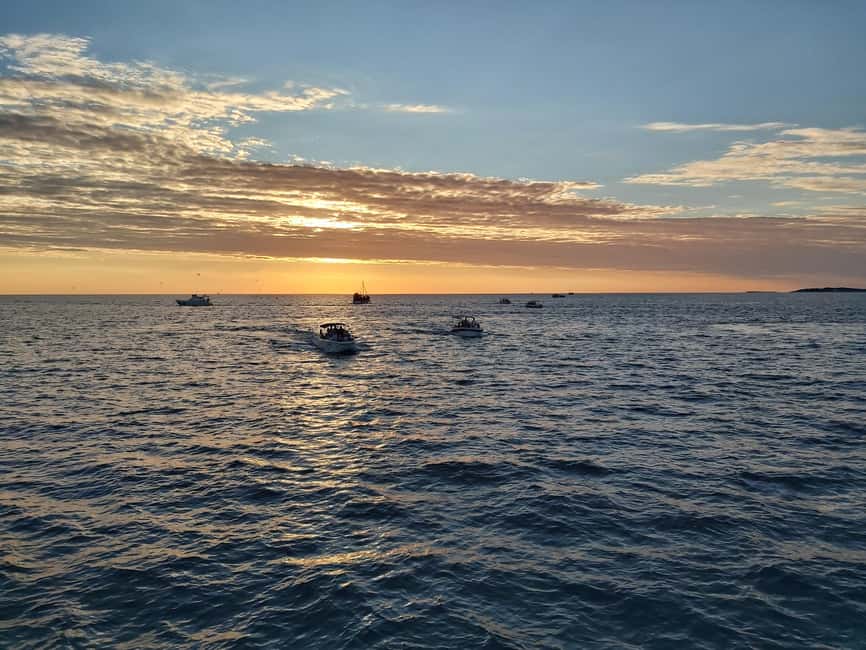 Pula: Dolphin Sunset Cruise to Brijuni with Dinner & Drinks - The Ananda catamaran: modern, stable, and built for moving views