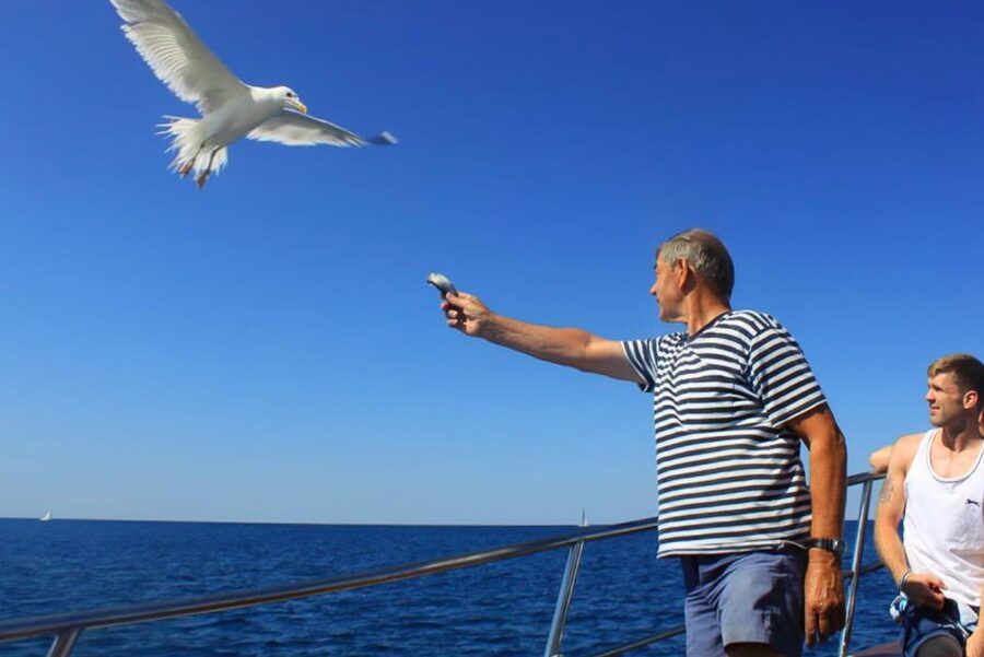Pula: Dolphin Watching Sunset Cruise with Dinner & Drinks - Sunset Across the Sea, Then Pula’s Lighting Giants From the Port