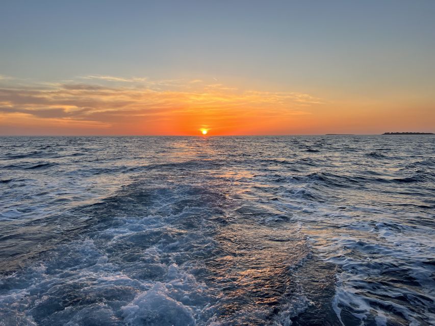 Pula: Dolphin Watching Sunset Cruise with Dinner & Drinks - Timing, Logistics, and What You’ll Want to Know Before You Go