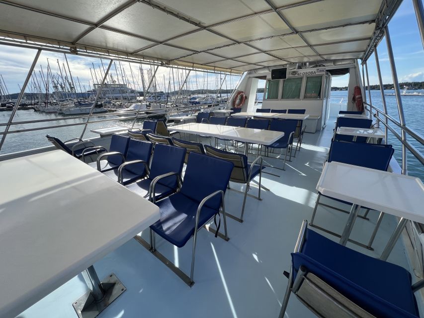 Pula: Dolphin Watching Sunset Cruise with Dinner & Drinks - Price and Value, Considering the Real Chances of Dolphin Sightings