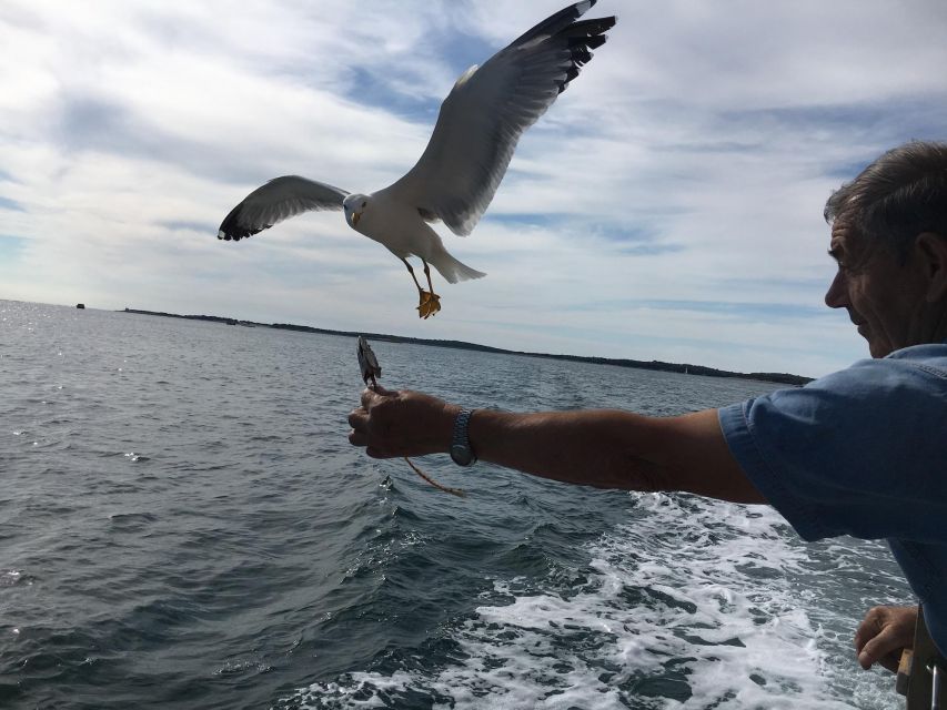 Pula: Dolphin Watching Sunset Cruise with Dinner & Drinks - The Included Dinner and Unlimited Drinks, Built for a True Evening Meal