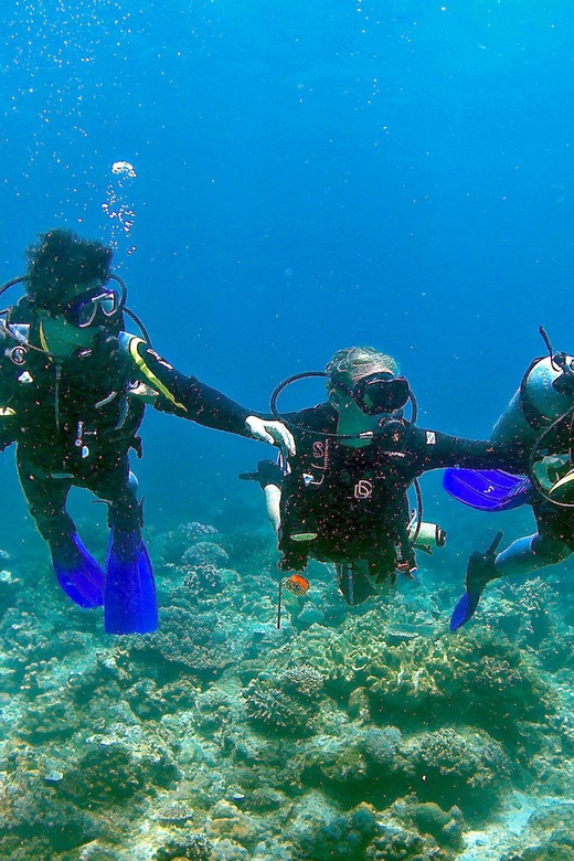Pula: Introduction to Scuba Diving - Weather and timing: how to keep your plans flexible