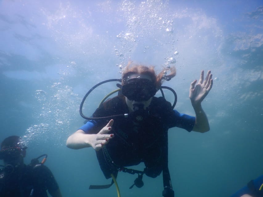 Pula: Introduction to Scuba Diving - The underwater session: 7-8 meters and what to expect