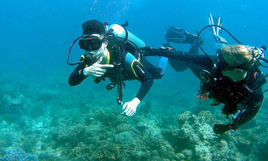 Pula: Introduction to Scuba Diving - Marine life at beginner depth: how to spot octopus and seahorses