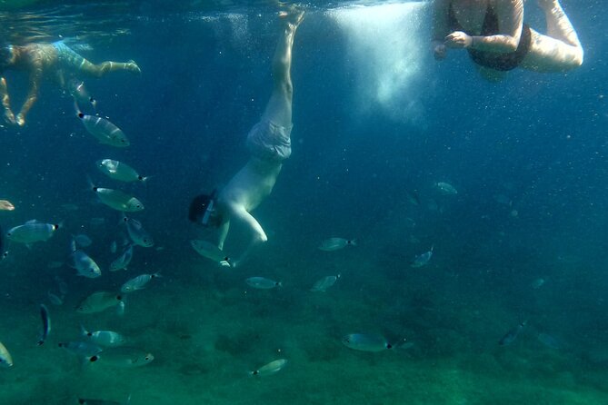 Pula:Kayak Tour-Cliff jumping,snorkeling&free GoPro pictures - Seagull’s Rocks Beach and Jamica Beach: the stops that break up the work