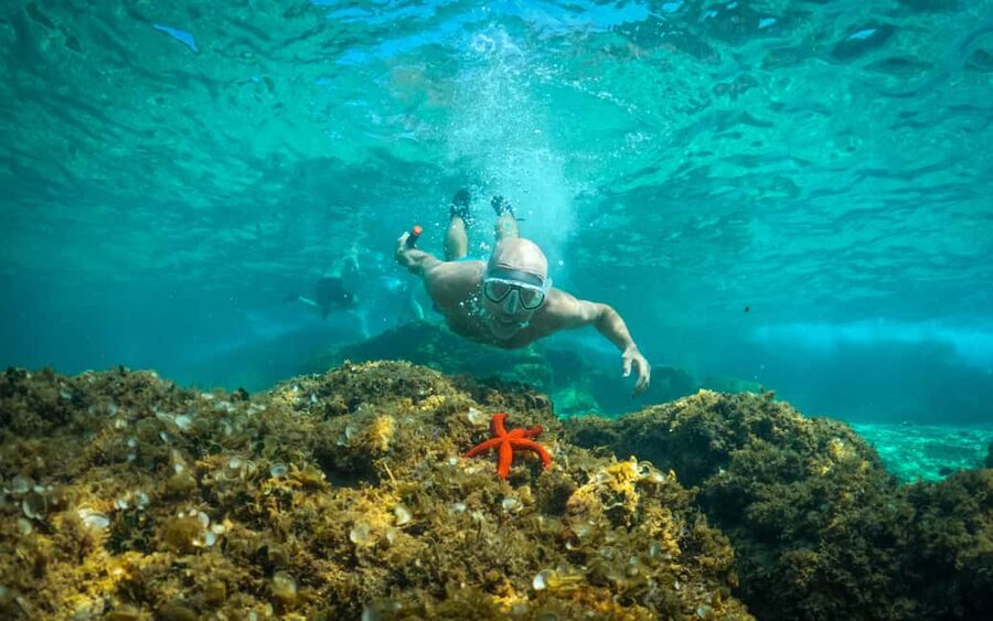 Pula: Kayaking,Snorkeling, Cliff jumping Tour with Wetsuit - Key highlights worth showing up for