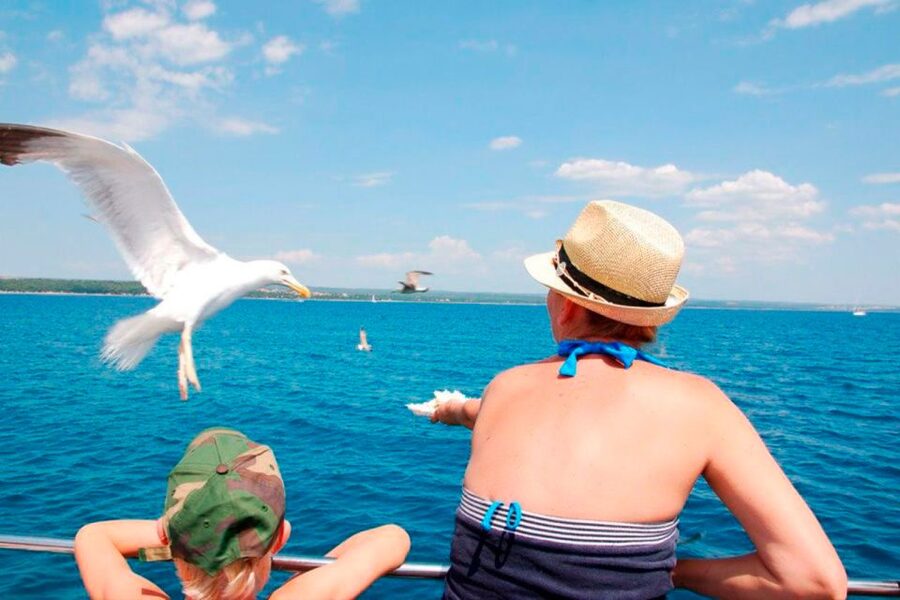 Pula: National Park Brijuni Island Visit & Dolphin Cruise - FAQ