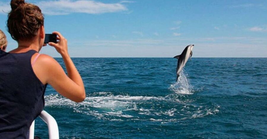 Pula: National Park Brijuni Island Visit & Dolphin Cruise - Brijuni National Park from Pula, boat-style
