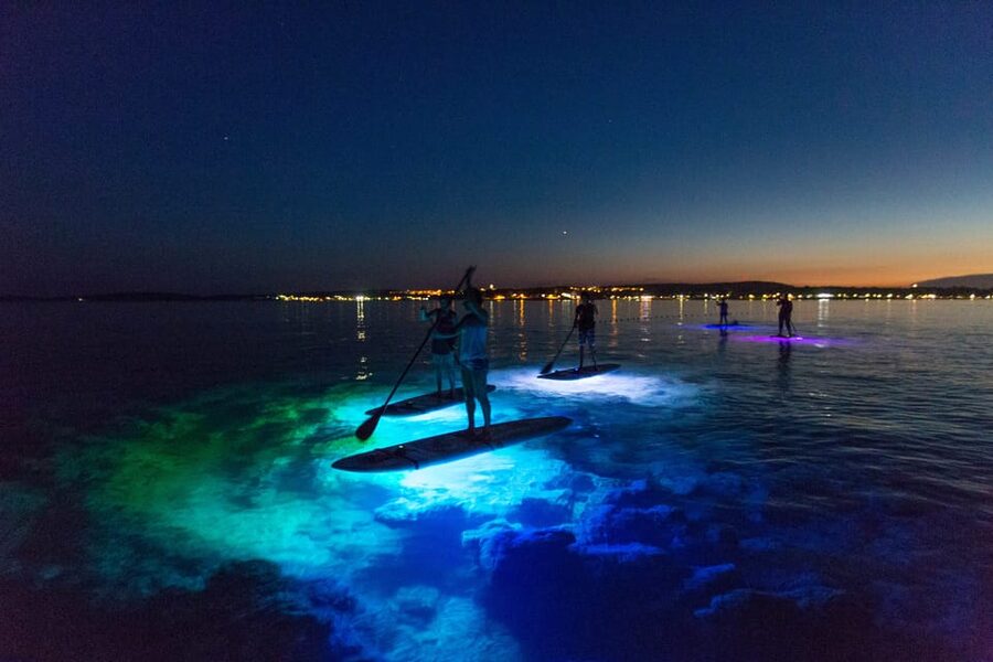 Pula: Night LED Stand-Up Paddle Board Tour - Price and Value: What You Get for Around $67