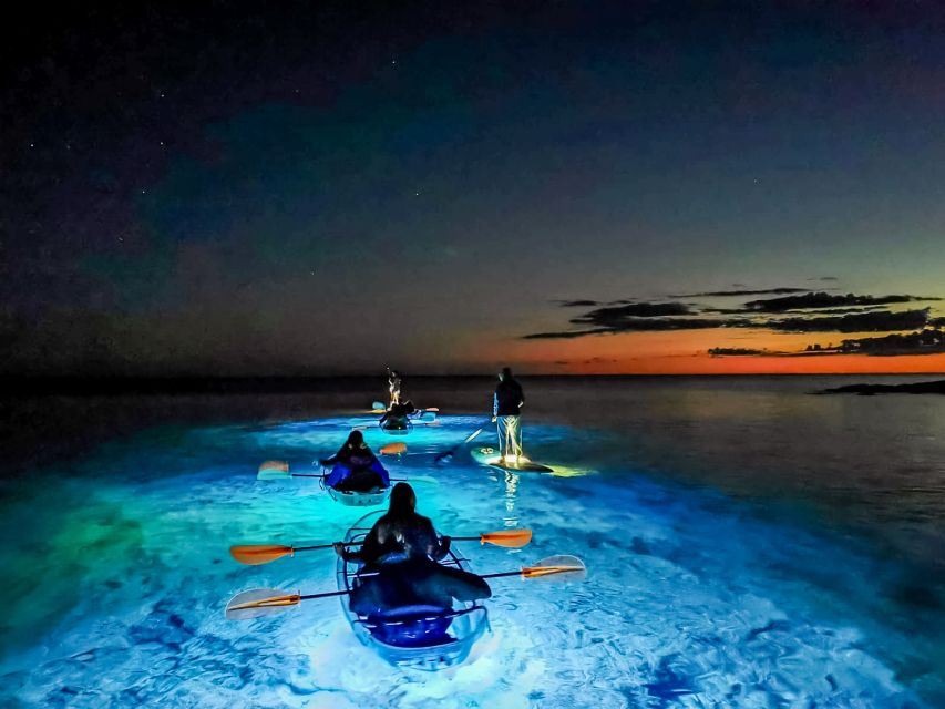 Pula: Night-Time Sea Kayaking Tour in Transparent Kayak - The Cave Stop (Grotto) and Why It’s Such a Night-Move