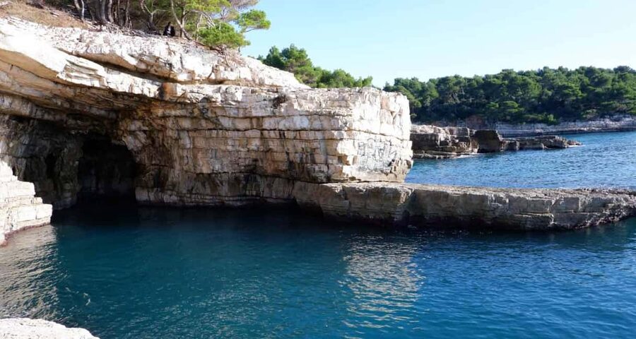 Pula: Private Brijuni Tour With Swimming, Dinner & Drinks - Swimming in clear water: what you should expect and how to prepare
