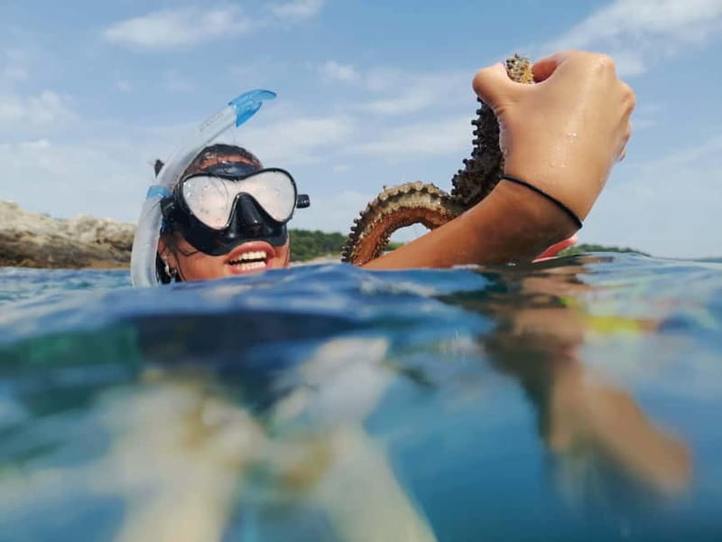 Pula: Sea Adventure – Boat, Kayak, Snorkeling & Cliff Jumps - Key things I’d plan for