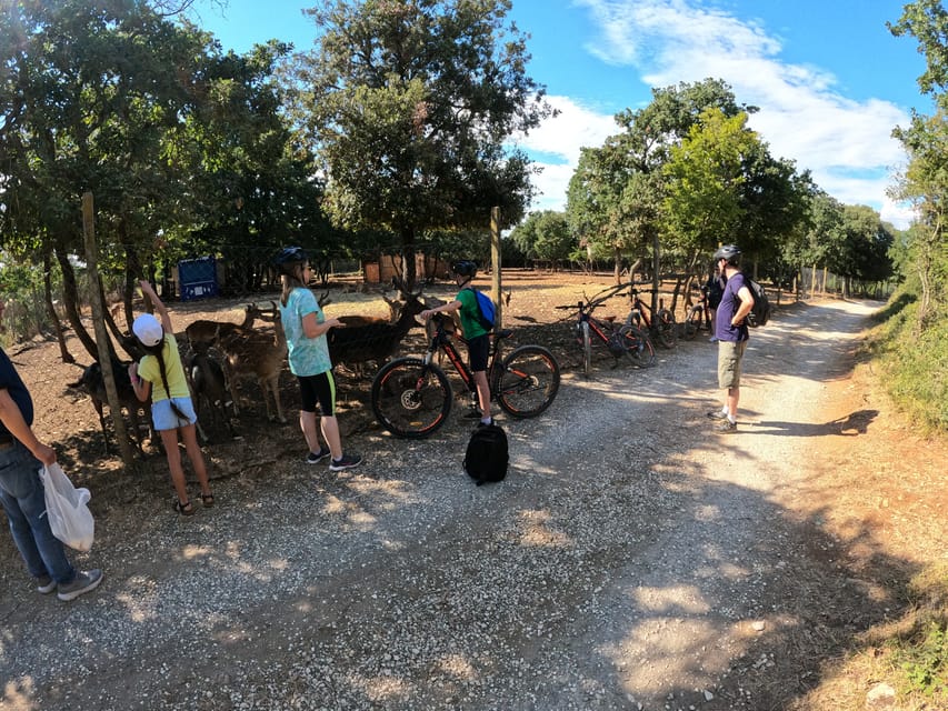 Pula-Vodnjan-Rovinj: E-Bike swim & forteress tour - Should you book it? My straightforward take