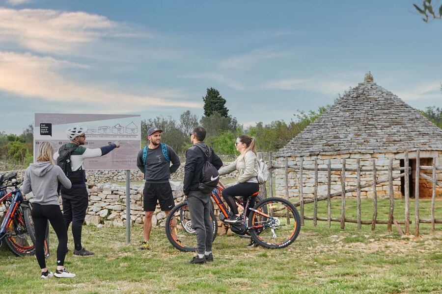 Pula-Vodnjan-Rovinj: E-Bike Tour with wine tasting - Vodnjan Wine and Olive Oil Tasting: The Perfect Finish