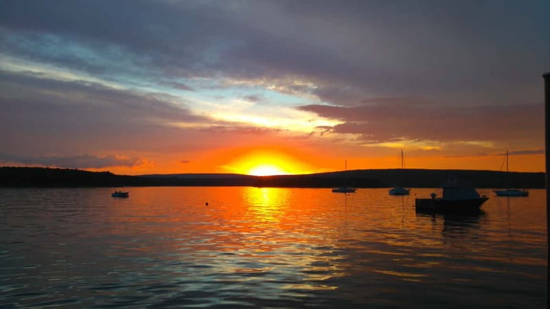 Punat: Plavnik and Krk Islands Private Boat Trip - Parking, timing, and the small logistics that matter