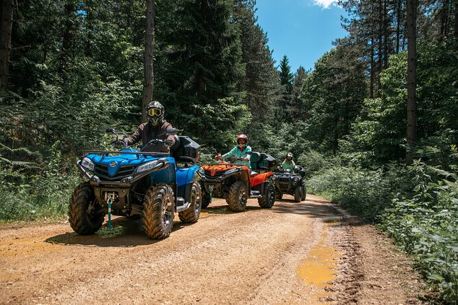 Quad adventure - Price and Value: What You Pay for at $86.51