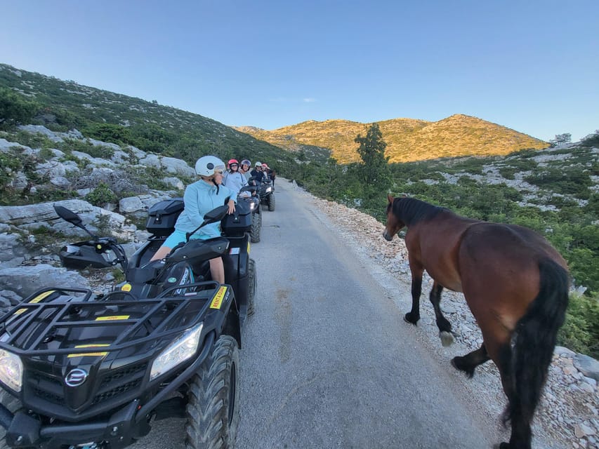 Quad tour to Biokovo Skywalk - Nature Park stops: wildlife, endemic plants, and why the walk matters