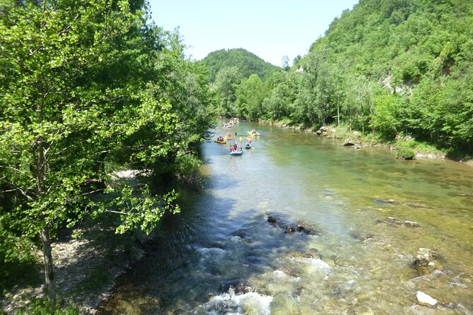 Rafting and Kayaking Adventure in River Kupa - Price and value: what $60.21 really buys you