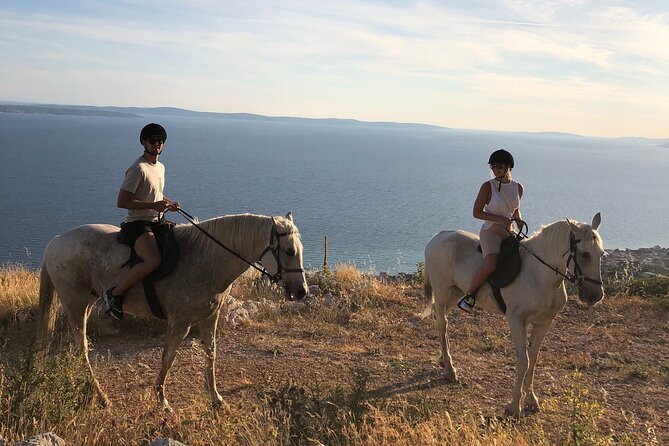 Ranch 22 Podstrana, " Horse riding 12 km from SPLIT " - After the saddle: homemade snacks, wine, and why this ending matters
