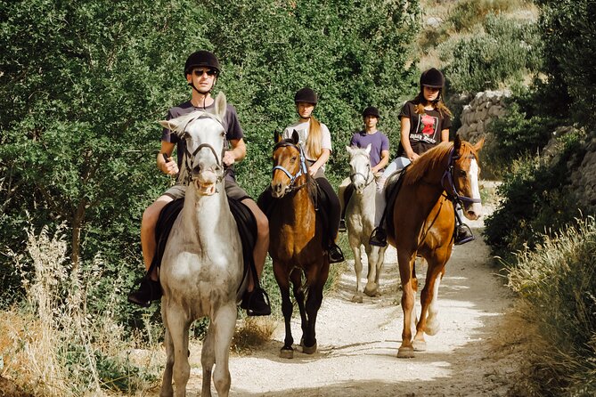 Ranch 22 Podstrana, " Horse riding 12 km from SPLIT " - FAQ