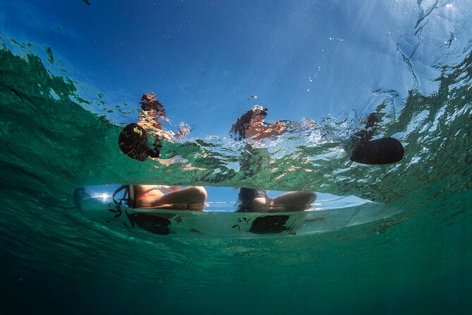 Rent a Transparent Kayak - Discover the Underwater Magic - Getting the Briefing Right: How You Use Your Time on the Water