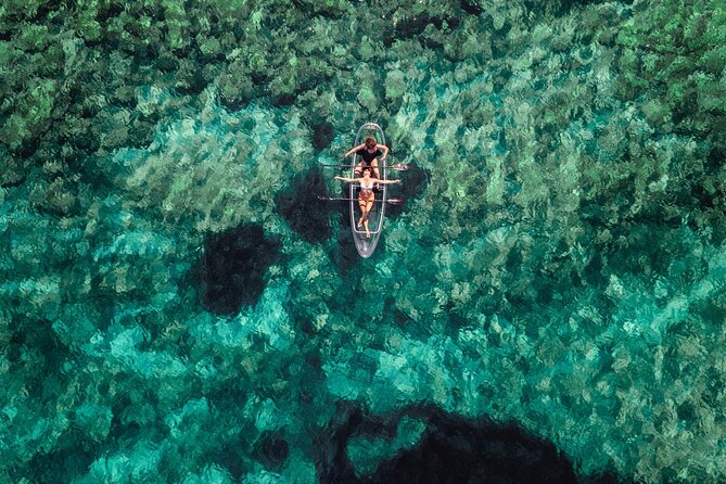 Rent a Transparent Kayak - Discover the Underwater Magic - Weather and Timing: Making Sure Your Views Live Up to the Concept