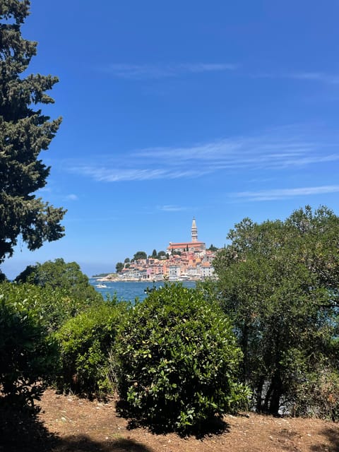 Rovinj: BUBA SUNSET KAYAK, snorkeling&driknks incuded - Photos in low light: why the included camera help is a big deal