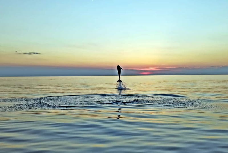 Rovinj: Dolphin Watching Sunset Speedboat Tour with Drinks - The Secret Stop at Sunset: Where the Magic Time Actually Happens