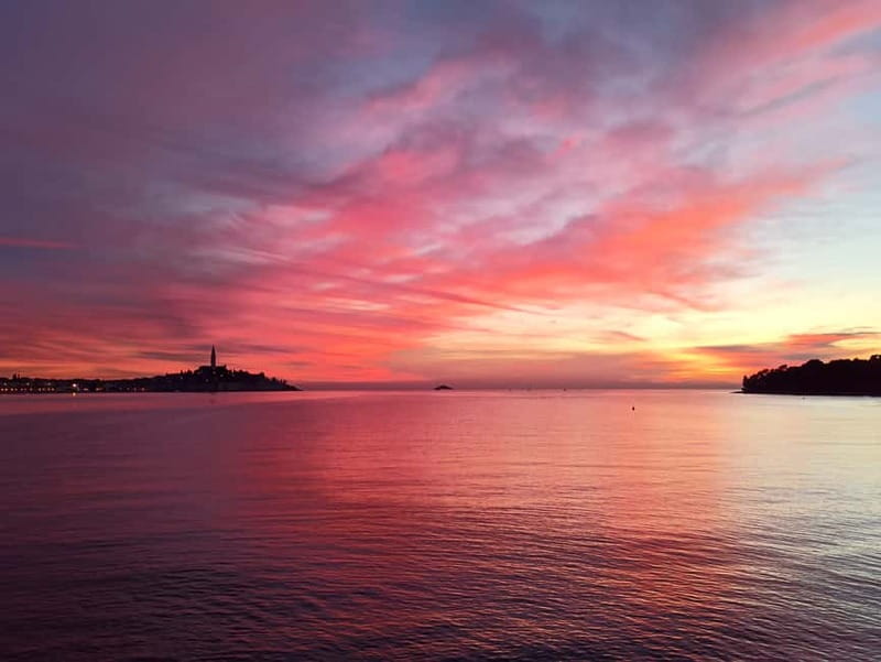 Rovinj: Dolphin Watching Sunset Speedboat Tour with Drinks - Drinks, Seasickness Pills, and What Comfort Looks Like