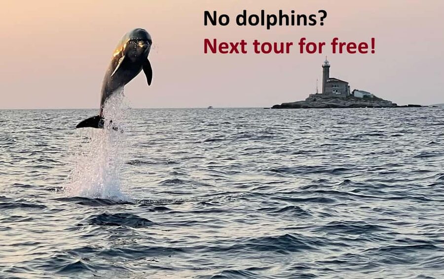 Rovinj: Dolphin Watching Sunset Speedboat Tour with Drinks - Dolphin Watching That Prioritizes Distance, Not Chaos