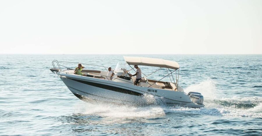 Rovinj: Family Friendly Dolphin Watching Tour - Pickup points in Rovinj: less walking helps the whole family