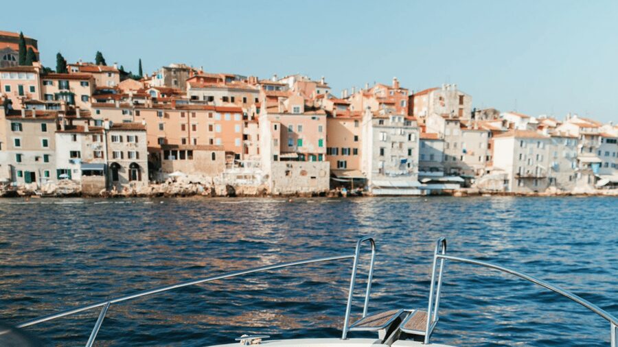 Rovinj: Family Friendly Dolphin Watching Tour - Small-group feel and the speed factor you should not ignore