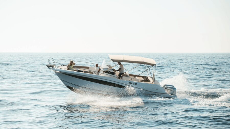 Rovinj: Family Friendly Dolphin Watching Tour - Price and timing: what $57 buys you in 2 hours