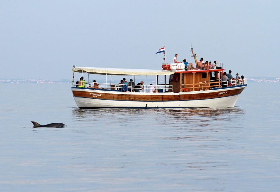 Rovinj half-day cruise: swim stops, drinks & brunch included - Stop 3 swim break and brunch: the best combo on board