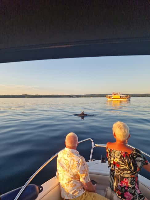 Rovinj: Shared Dolphin and Sunset Tour with Drinks - Why this Rovinj sunset dolphin trip starts at 19:30