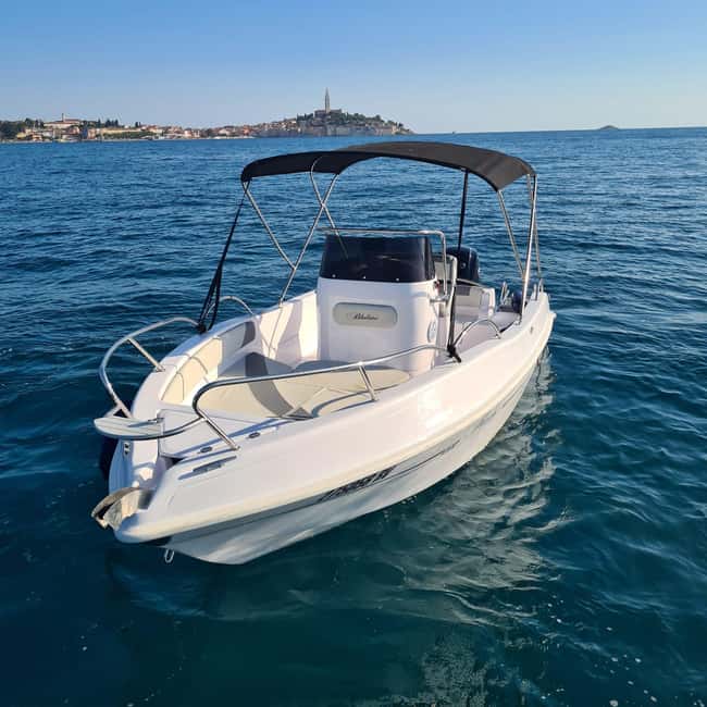 Rovinj: Shared Dolphin and Sunset Tour with Drinks - Drinks on board and the small-group feel you will actually notice