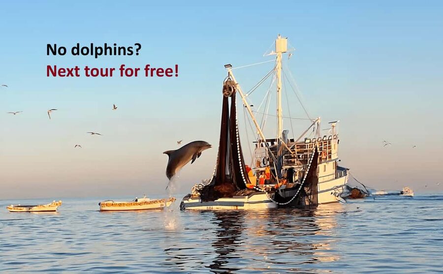Rovinj: Sunrise Dolphins & Fishermen at Work Speedboat Tour - Key highlights that matter on this Rovinj sunrise dolphin tour