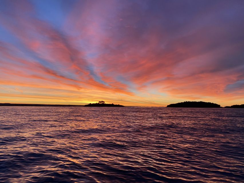 Rovinj: Sunrise Dolphins & Fishermen at Work Speedboat Tour - Secret stop details: what happens during the 55-minute dolphin window