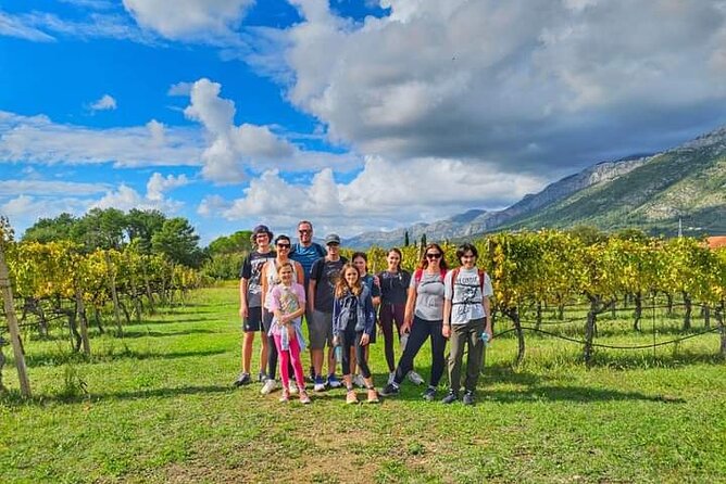 Rural Biking & Wine Tasting Tour in Dubrovnik - Gruda and Bratoš winery: wine tasting with a real vineyard setting