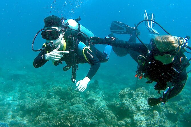 Scuba Diving for Beginners in Pula - Key highlights you will actually care about
