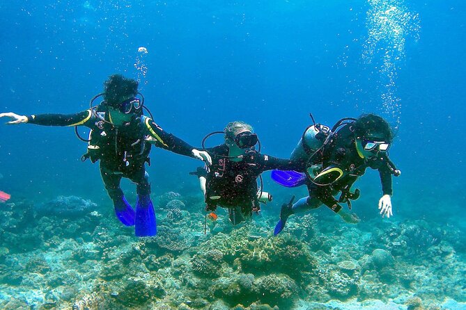 Scuba Diving for Beginners in Pula - Shallow-water skills: the calm, supervised learning phase