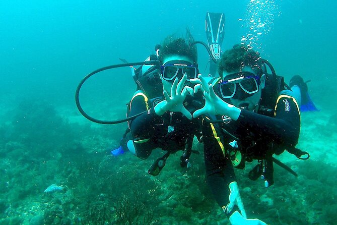 Scuba Diving for Beginners in Pula - Where the session starts at Verudela 17, Pula