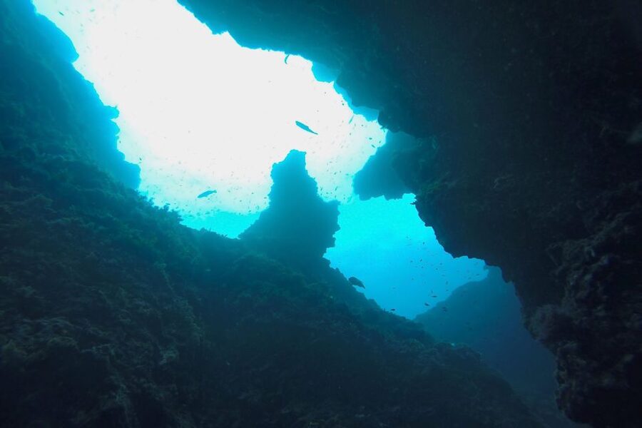Scuba Diving in Dubrovnik: 1 Dive for Certified Divers - Choosing your site: Bezdan, Taranto wreck, Tomislav wreck, and the other 9 options